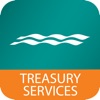 CFB Treasury Services