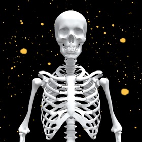 螢幕擷取畫面 (8) Assemble Skeleton
