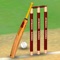 Free fun casual cricket game to help you kill some time