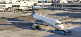 Game screenshot Airplane Flight Pilot Sim 3D hack