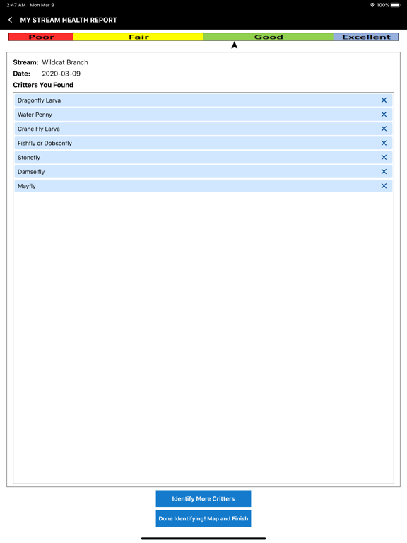 Creek Critters iPad screenshot 8 - Education app