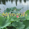 Virtual GS - Memories: Photo Widget アートワーク