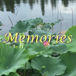 Download Memories: Photo Widget app