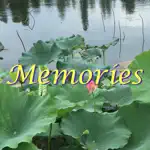 Memories: Photo Widget App Contact