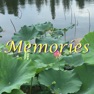 Get Memories: Photo Widget for iOS, iPhone, iPad Aso Report