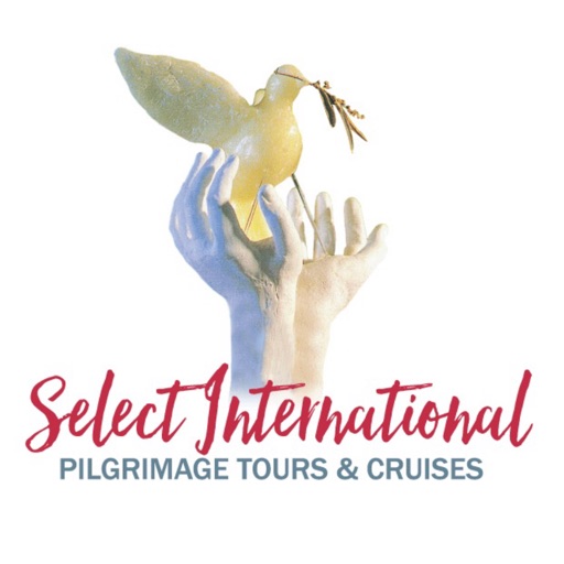 Select International icon