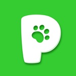 Download Pethereum app