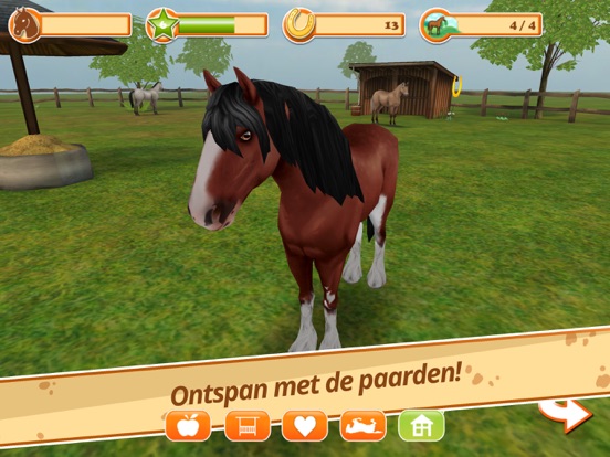 Horse World - Mijn paard iPad app afbeelding 7