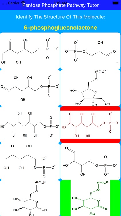 Pentose Phosphate Paths Tutor