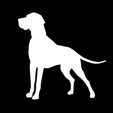 White Dog Studio Читы