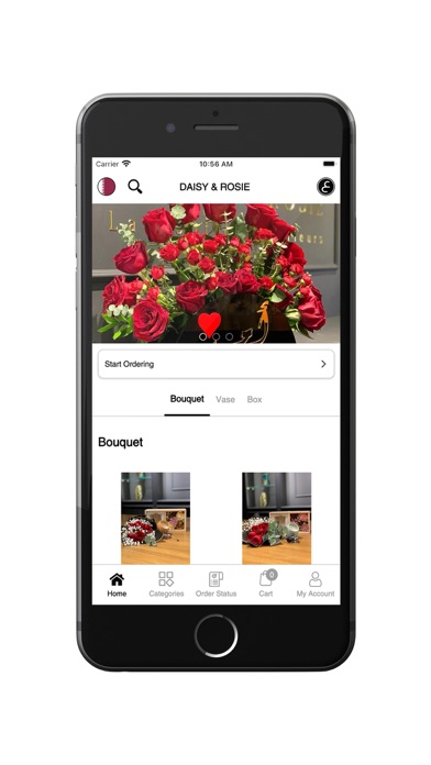 Daisy Rosie Screenshot