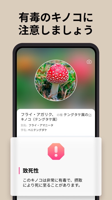 Picture Mushroom - 1秒キノコ図鑑のおすすめ画像3