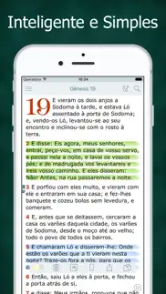 bíblia sagrada evangélica iphone screenshot 1