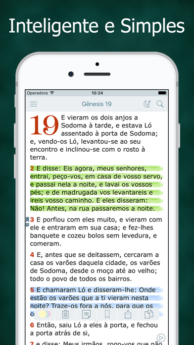 Bíblia Sagrada Evangélica Screenshot