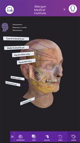 Game screenshot AMI Facial Anatomy and Cadaver mod apk