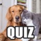 Guess 50 breeds of the cutest cats and dogs