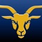 Goat Club - Sports App: A Sports picking app designed to help users make informed choices related to sports events