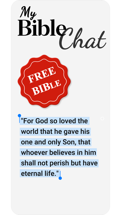 Bible Chat - NIV Bible Screenshot