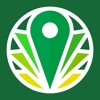 Greenery Map: Cannabis Search icon