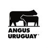 ANGUS URUGUAY
