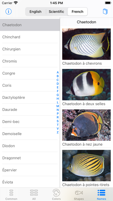 Tahiti Fish ID Screenshot