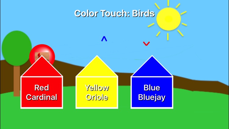Color Touch: Birds screenshot-0