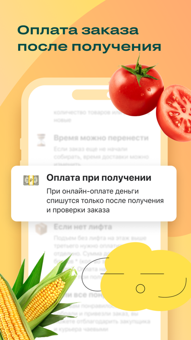 Доставка продуктов Лента, Ашан Screenshot