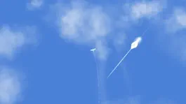 Game screenshot Sky Bird Fly hack