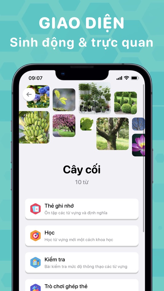#6. Bloom: Học Tiếng Anh & Từ Vựng (iOS) 由: Dang Nguyen