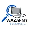 Wazafny Belkhalig