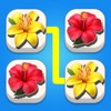 Blossom Connect icon