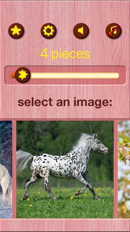 Horse Jigsaw Puzzle Games screenshot-8