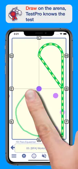 Game screenshot FEI Para Dressage apk