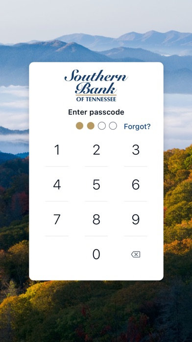 Southern Bank of Tennessee Screenshot