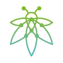 Buzzlync Social