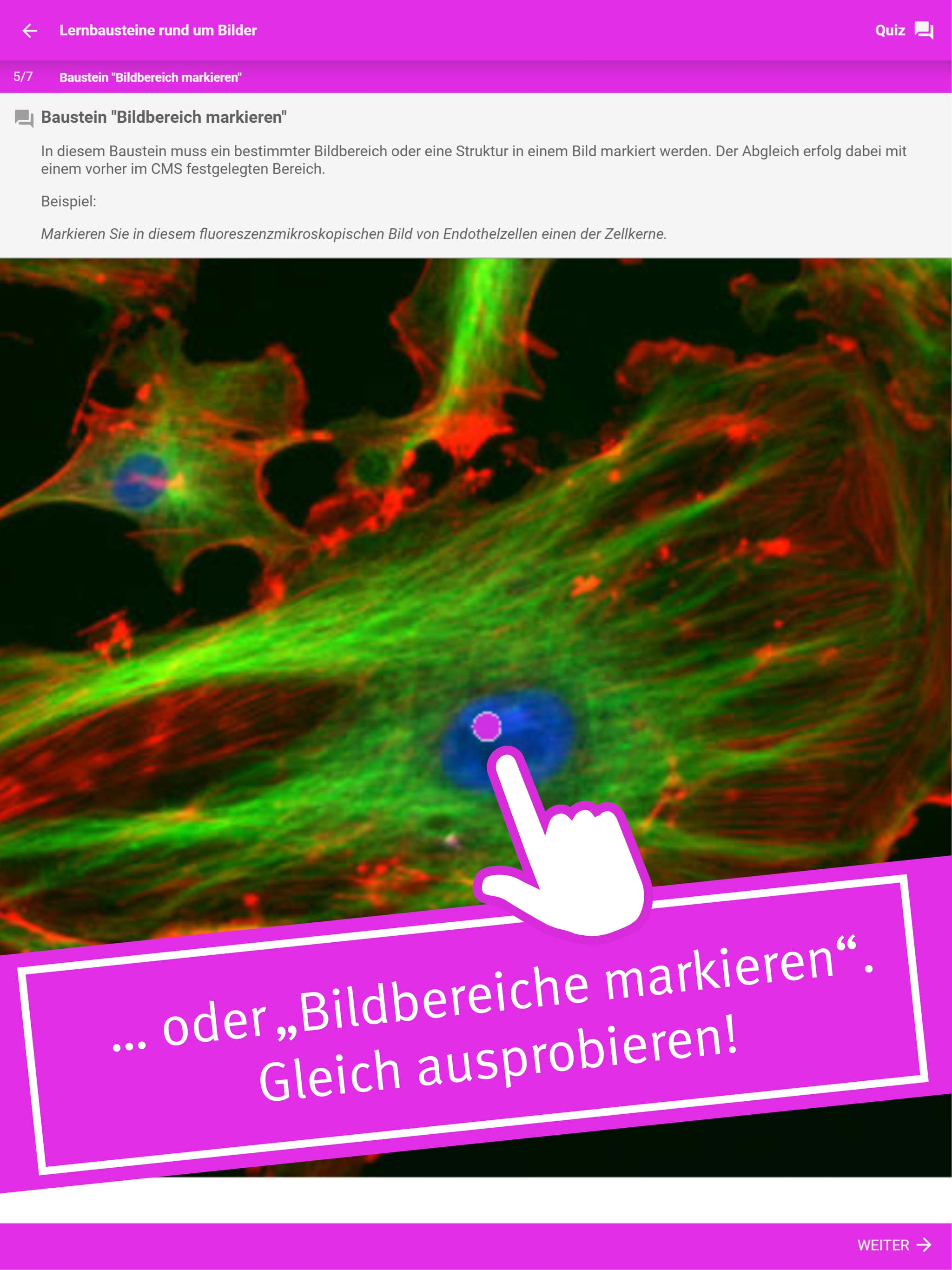 eMed screenshot 12