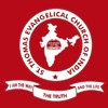 Steci Media icon