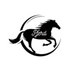 Pferd - Scooter Sharing icon