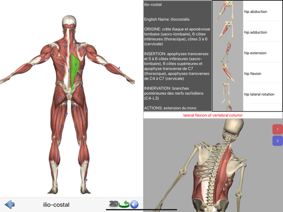 Screenshot #6 pour Visual Anatomy Lite