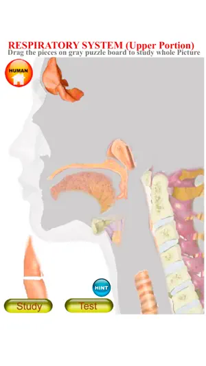 ANATOMY 3D Pro screenshot 3