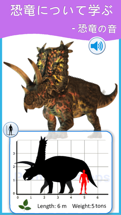 恐竜学習カード : 恐竜ゲームのおすすめ画像4