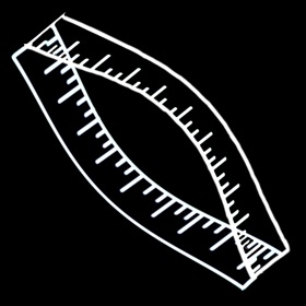 螢幕擷取畫面 (2) Ruler msg