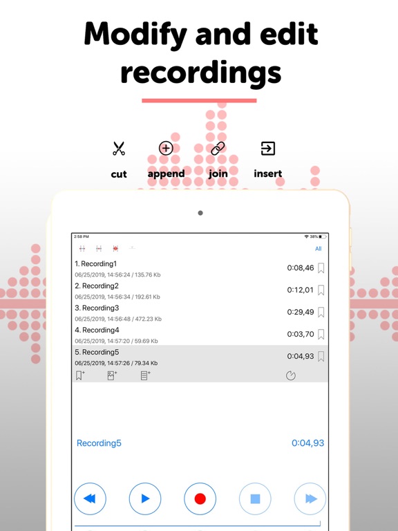 Alon Dictaphone-Voice Recorder iPad screenshot 4 - Business app