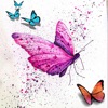 Butterfly Wallpaper 4K icon