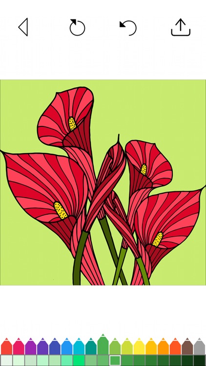 Flowers - Adult Coloring Book screenshot-7