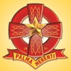 Palma School icon