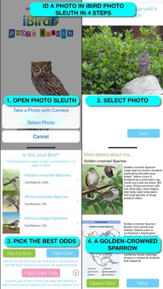 iBird Ultimate Guide to Birds screenshot 3