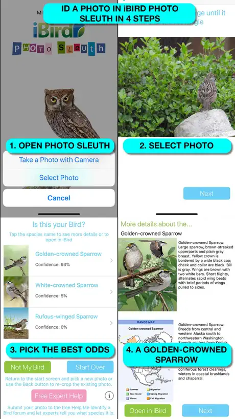 iBird Ultimate Guide to Birds