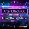 Editor Guide For After Effects