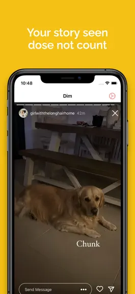 Game screenshot Dim: Anon Story Viewer for IG hack